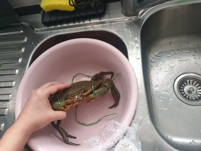 1686196059872873 (1)