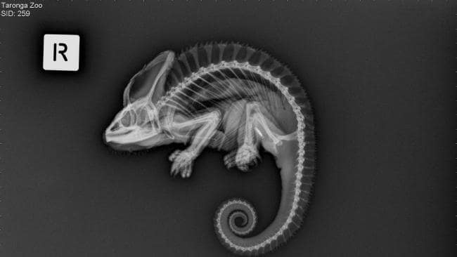 4b3dff1178b22b29fef6cb8cfdf29867