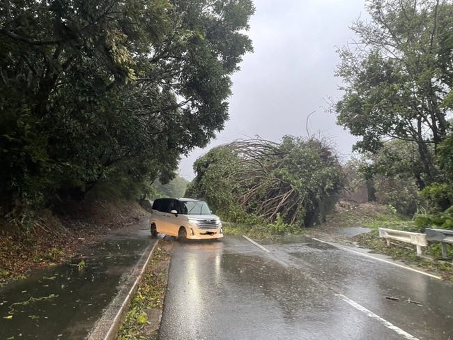 304964351_219733083714230_8462212020943611247_n