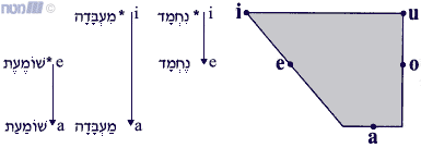 1554912429782