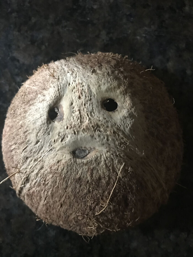 happyCoconut-610705f2ac128__700