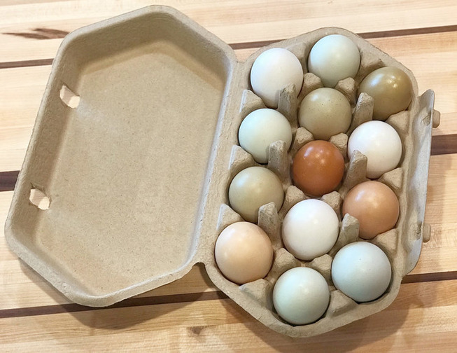 Multi-Color-eggs-0004