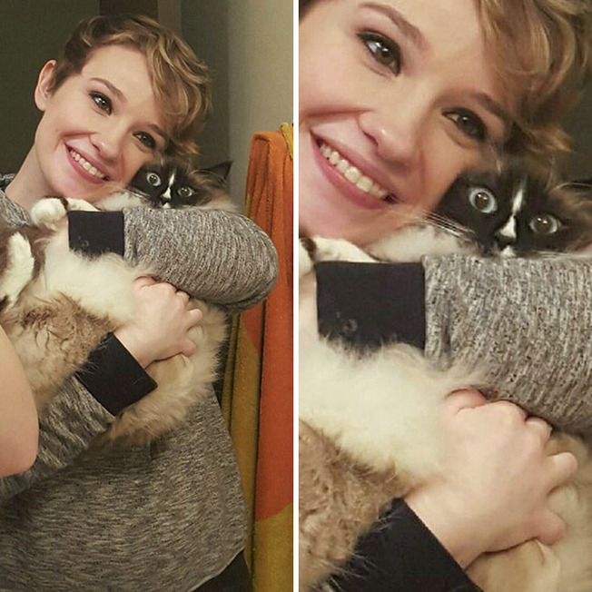 cats-say-no-cuddles-211-6036485491a96__700