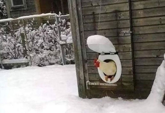 3-64428bfb885f1__700