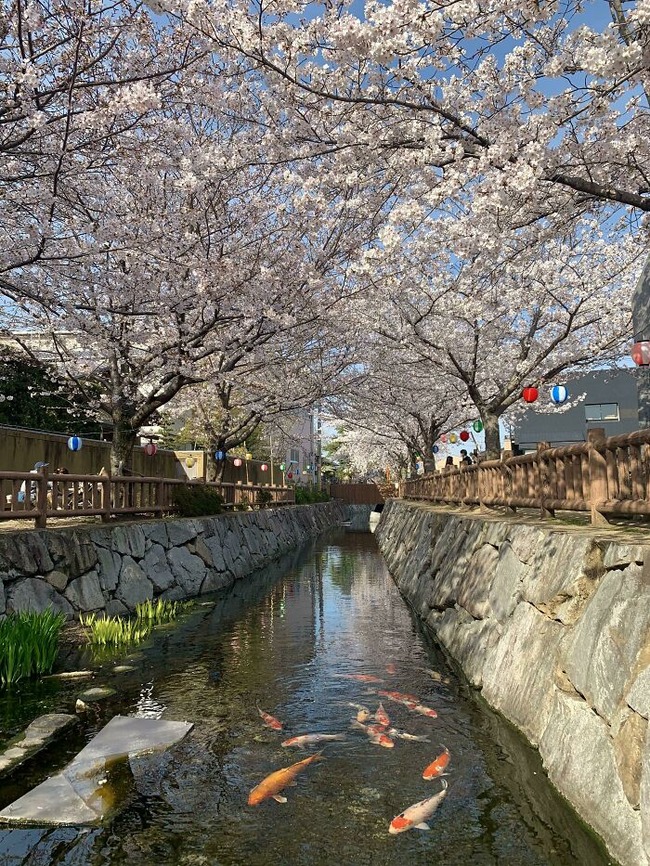 67a1bbfe82652_en00pdtxbkp61__700