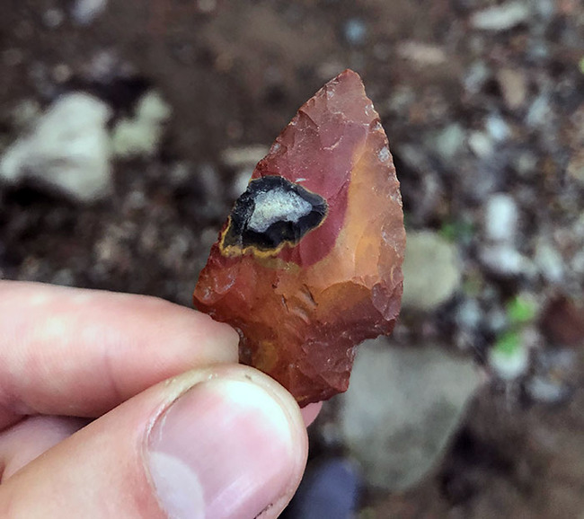 interesting-archaeological-finds-200-65141fe7d8a10__700