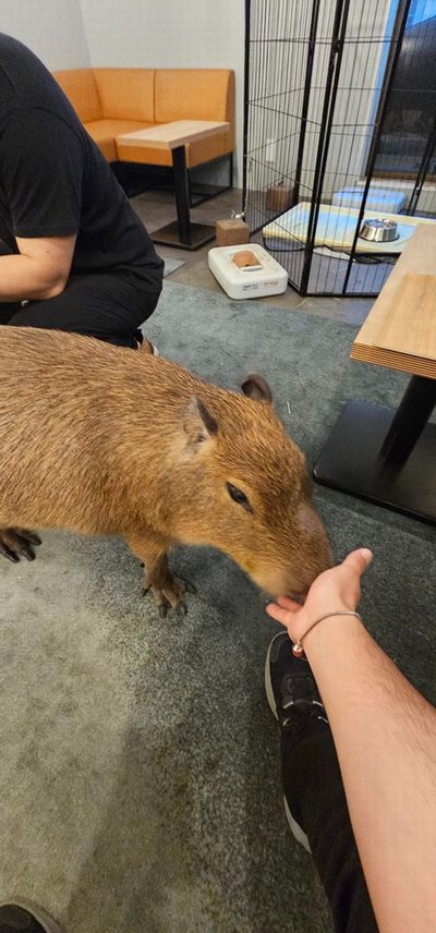 506456406_30978421778423307_3719