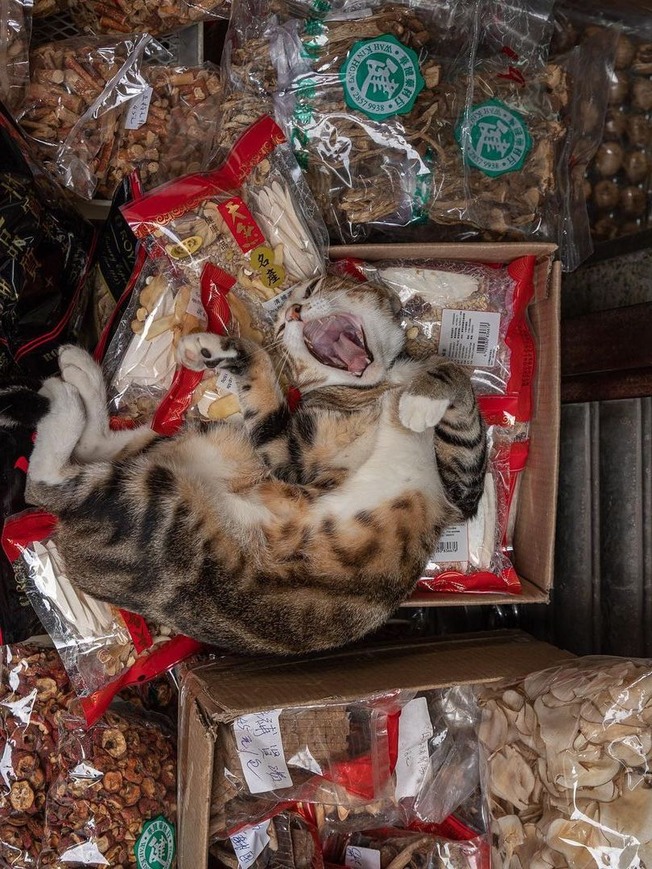 240833260_10161817360886840_5324973826142548733_n