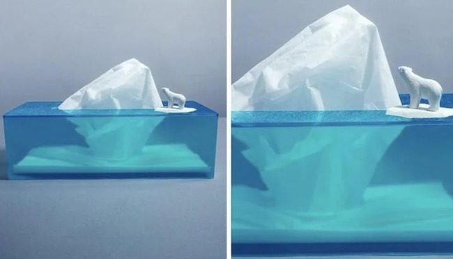 1674264333837137 (1)