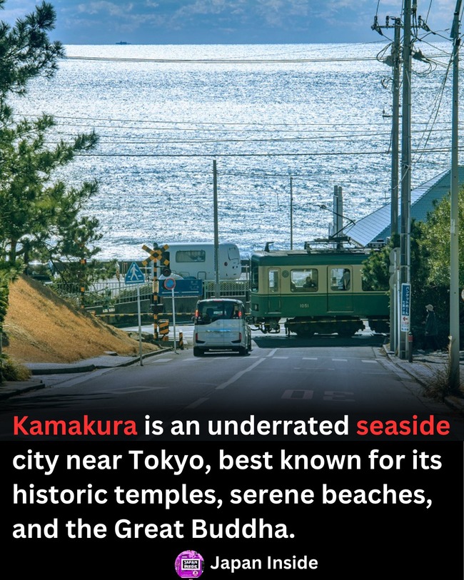 451038666_780520224250898_6677269178754225185_n