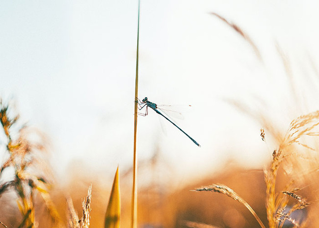 true-facts-sound-fake-6-6334433d95da3__700