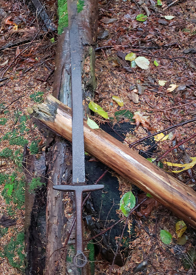 unexpected-forest-finds-2-663cd4cada1d3__700