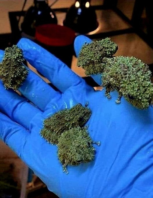 68d1035dd1e95_Aj9RfVs__880