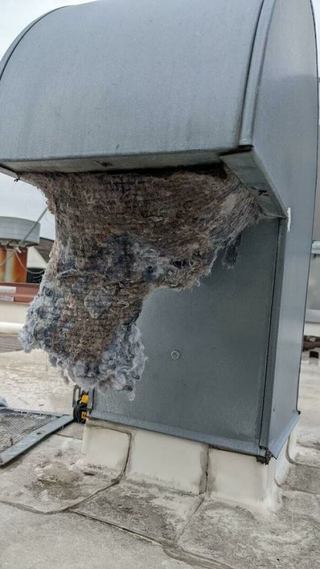 6268e363ce9d9_8csuhpdh1sa81__700 (1)