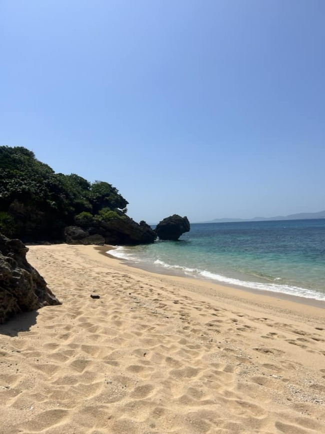 344543693_537502848462513_2971619500141951573_n