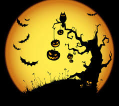images (5)