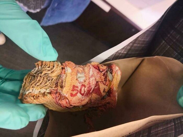 695e343428783_5zlcjdp30bs41__700