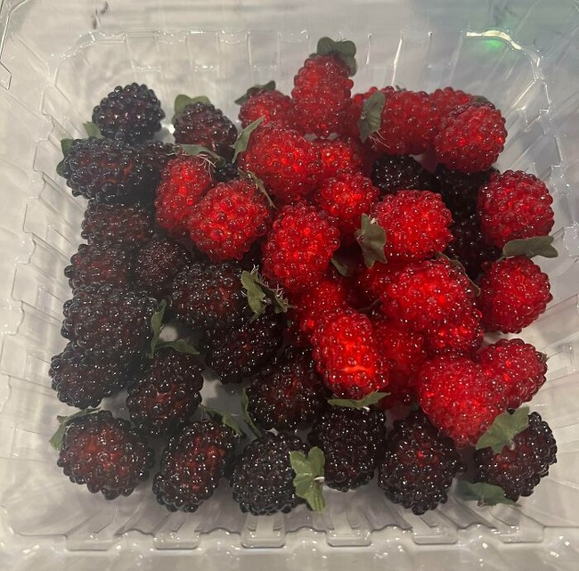 6483353f372cc_things-look-like-food-forbidden-snacks