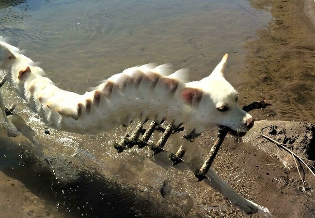 65bca125cb5c6_7jof8taag4161__700