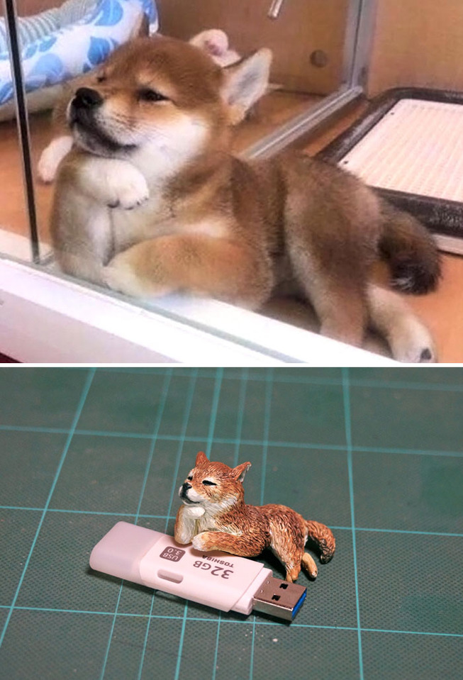 funny-animals-sculptures-meetissai-20-5e42ac8e9e4fc__700