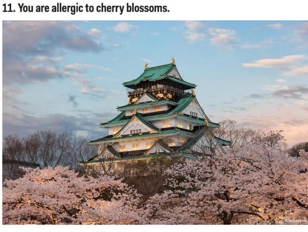 日本旅行をすべきではない理由