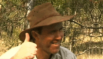 zk7KqDkKxcY7GZat7WSsFF-BAnjFKa19kpuq4JwFhjE