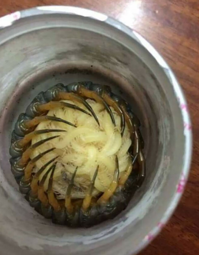 scary-creepy-nature-pics-55-6447b81d93157__700