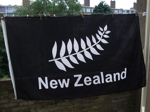 unofficial-new-zealand-silver-fern-flag-1-small