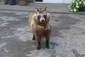 ダウンロード (2)