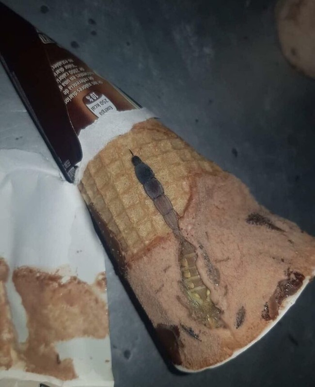 651ff365354bd_unexpected-finds-in-food