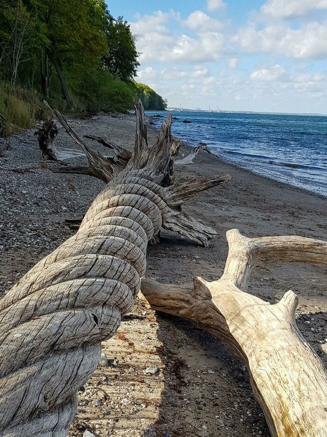 funny-interesting-beach-things-11-62c6cc99e1df8__700