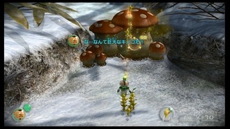 o0607034112676301550