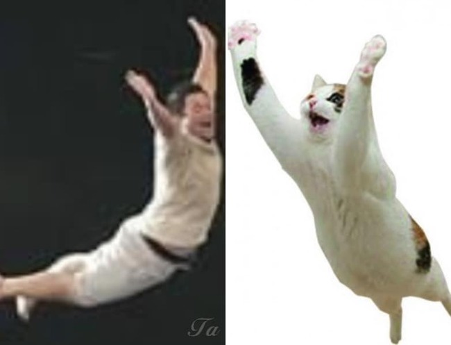 379461893_1023206508711143_742678537444991518_n