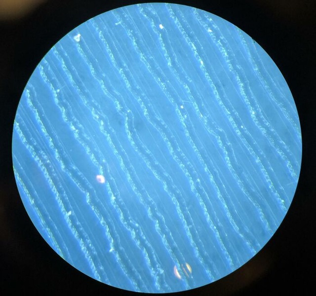 684823ecdbdb8_interesting-microscope-pictures