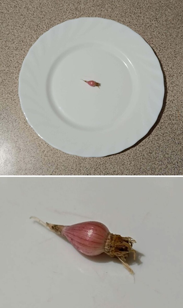 68946c926830e_funny-harvesting-pictures__700