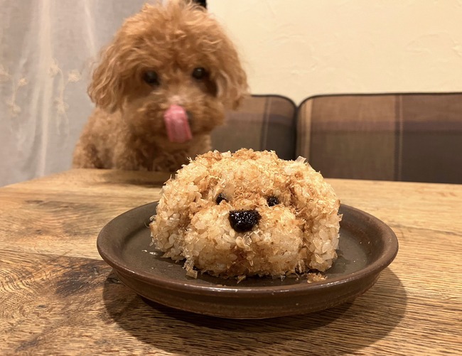 354563915_647971854031004_2763788846801083236_n