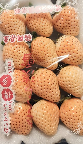 uta57x0hq8kg1
