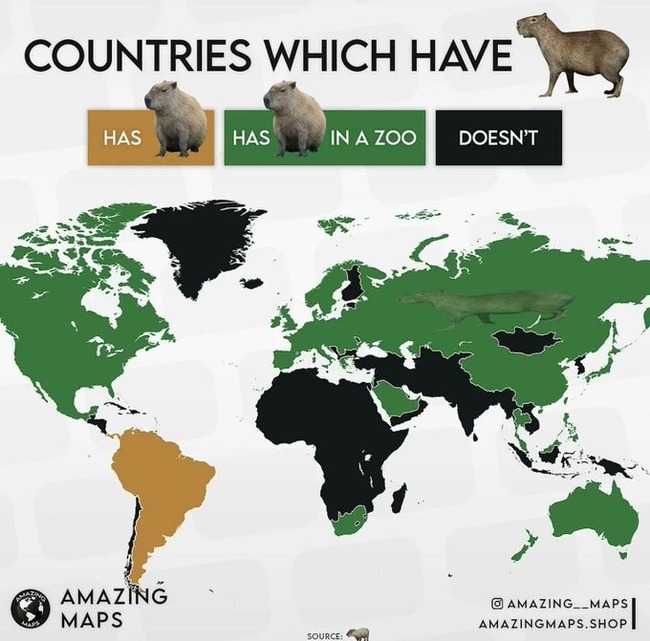 Gd6susBXIAAvIlI