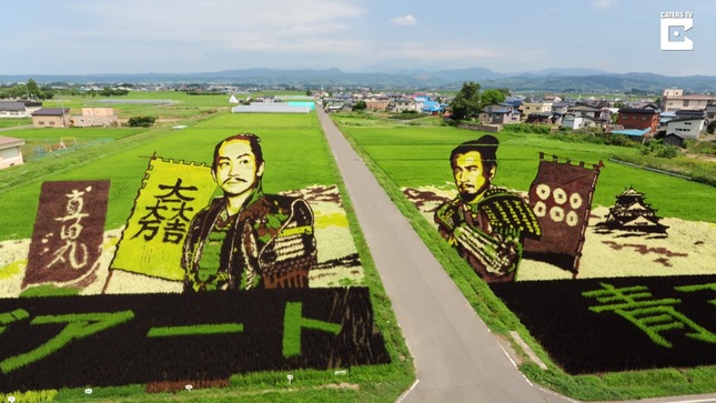 99ae11eb-63f6-4195-8530-d5c60749f122