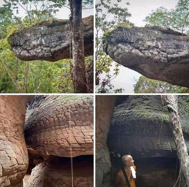pareidolia-pictures-1-6785232778753__700