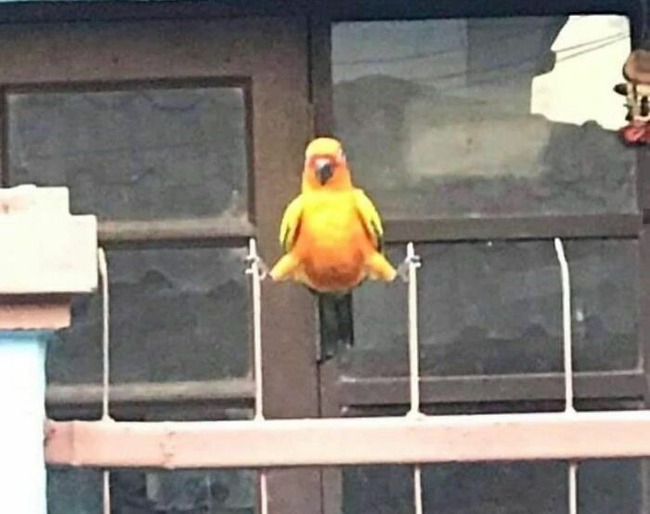 CgUbMr5sgXa-png__700