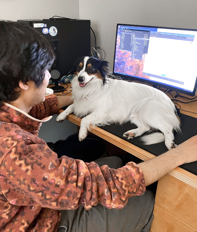 dogs-behaving-like-cats-17-66ea8b07182c9__700