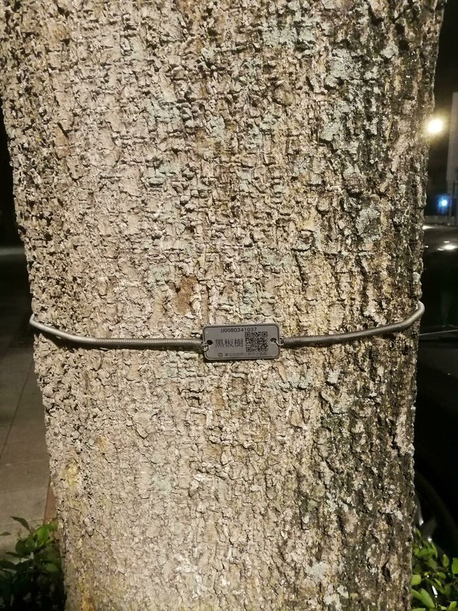 67b5ce6720be2_kz1w1ltgme741__700