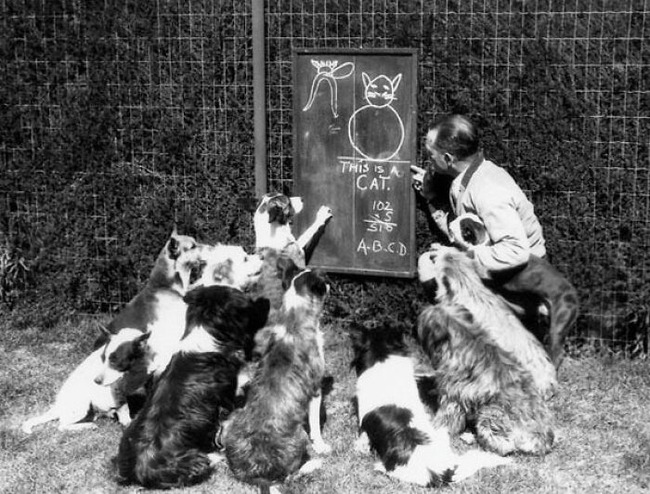 664e025f074e5_dogs-throughout-history-pics