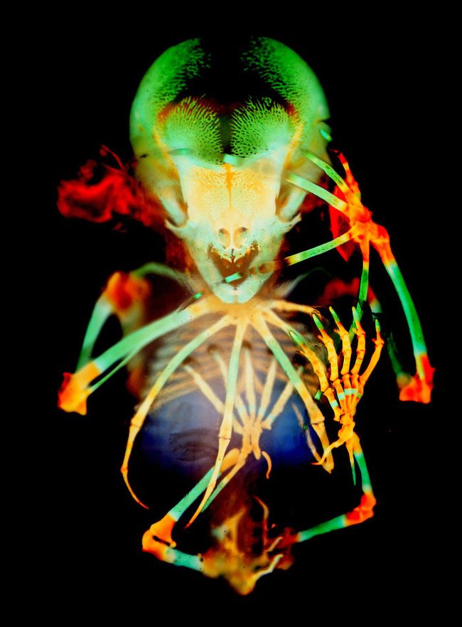 20-5f8d4675b2507__700