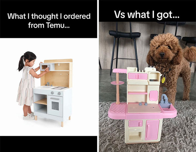 funny-temu-shein-fails-69ce2bd63(1)