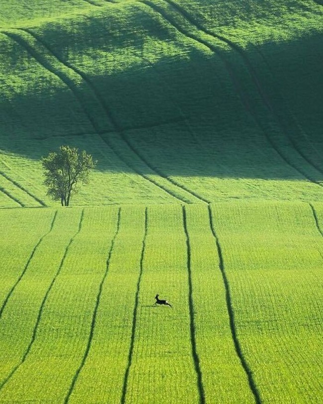 65fbf5b738995_europe-interesting-photos