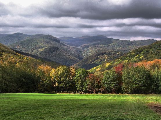 1679930635368476 (1)