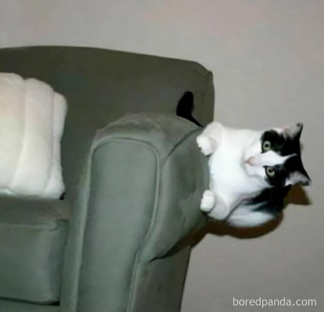 confusing-gravity-pics-4-64aead9aeedde__700