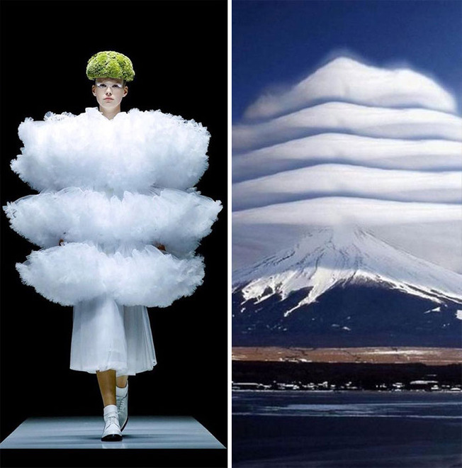 parallels-between-fashion-and-nature